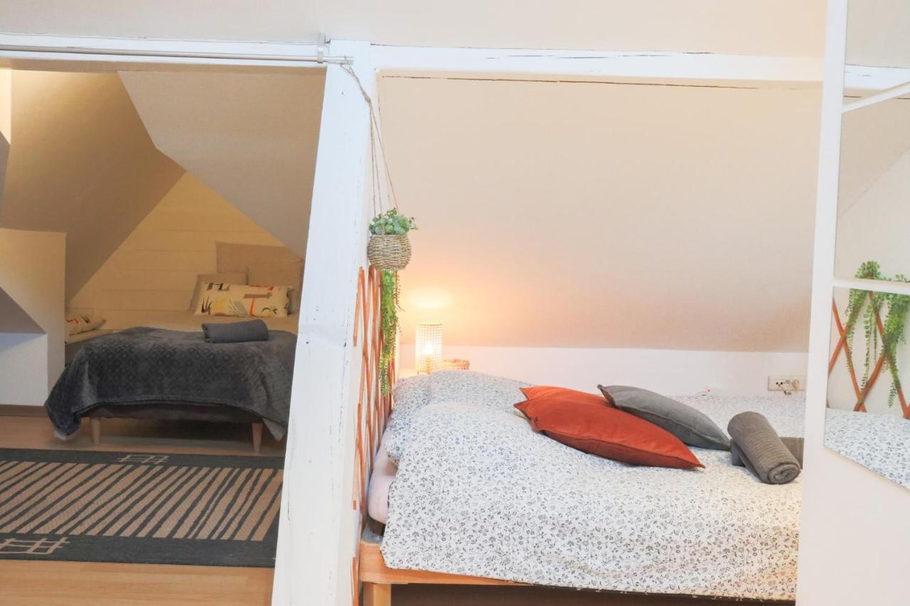 Le Petit Loft, Mulhouse Centre Apartment Exterior foto