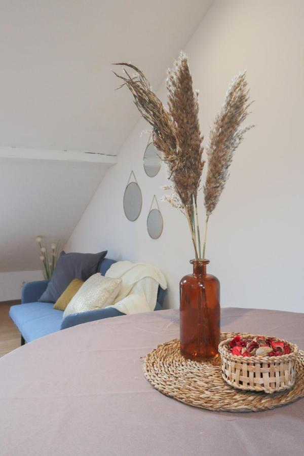 Le Petit Loft, Mulhouse Centre Apartment Exterior foto