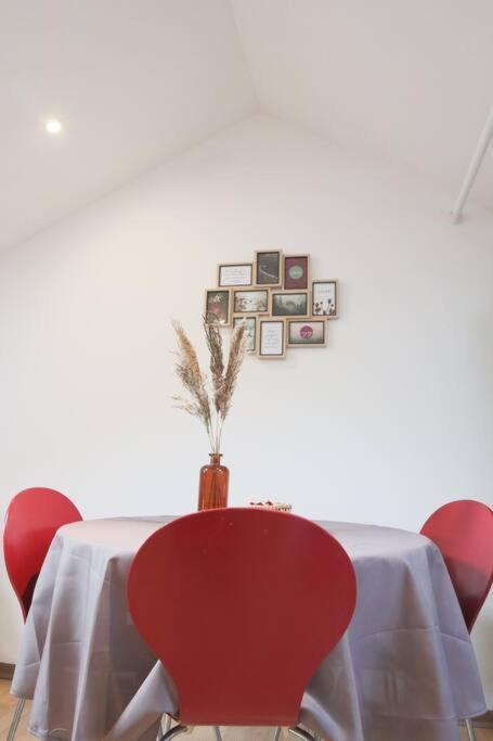 Le Petit Loft, Mulhouse Centre Apartment Exterior foto