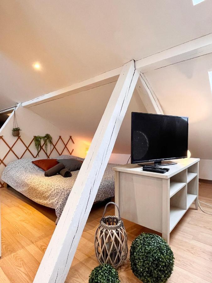 Le Petit Loft, Mulhouse Centre Apartment Exterior foto